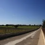 Ferienhaus In Santa Margalida Mit Privatem Pool